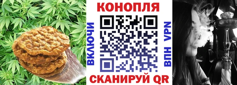 Купить закладки  Тайга  Печенье с ТГК конопля 